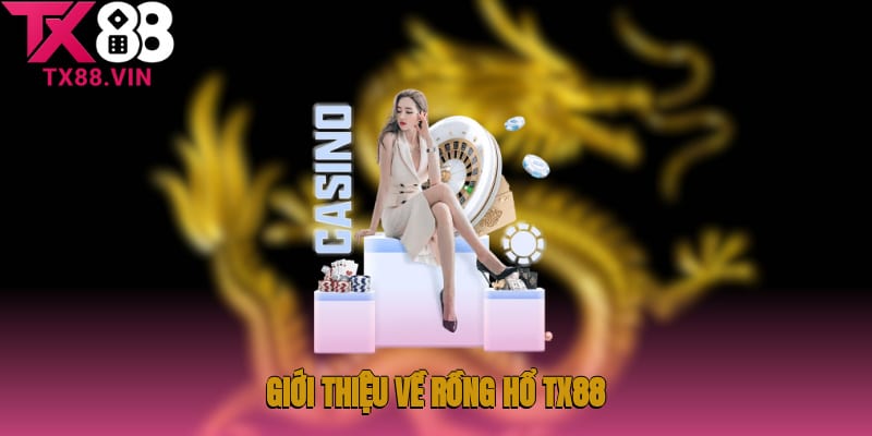 Giới thiệu về Rồng Hổ TX88