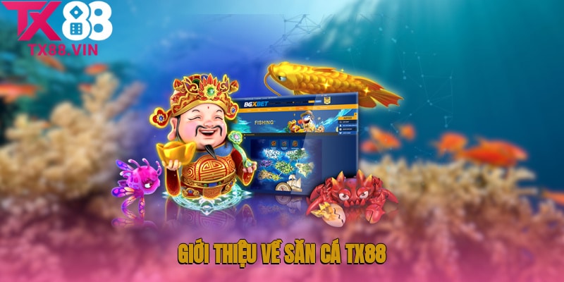 Giới thiệu về săn cá TX88 đến anh em người chơi