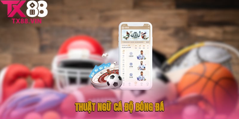 Tổng hợp các thuật ngữ cá độ bóng đá không thể bỏ qua